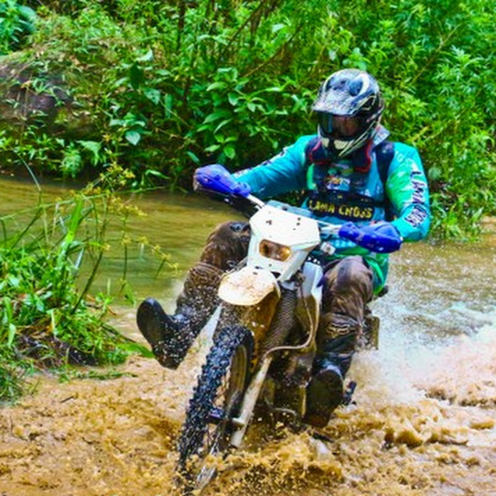 Leandro #82 Net Worth & Earnings (2026)