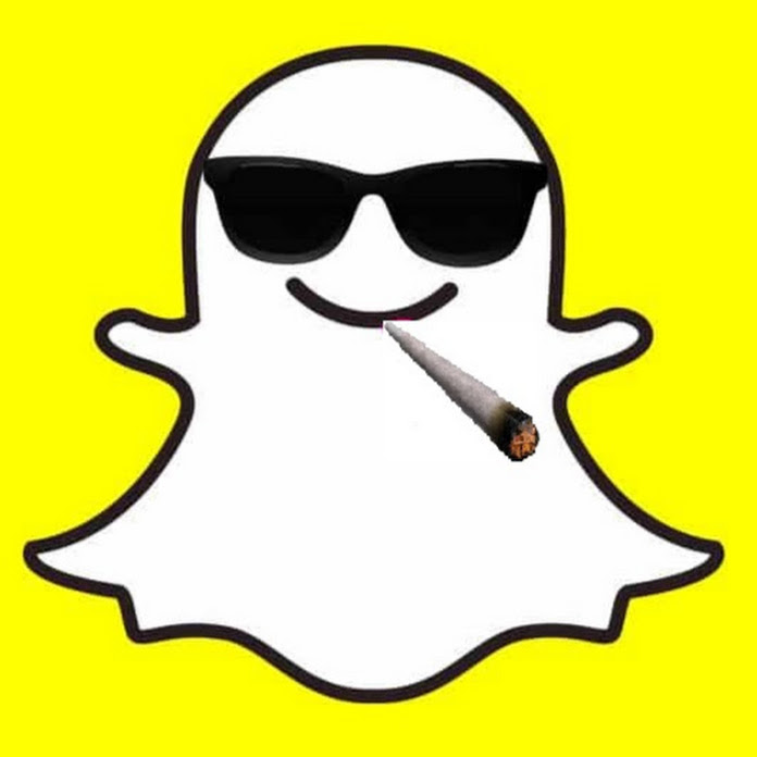 SnapLife Net Worth & Earnings (2026)