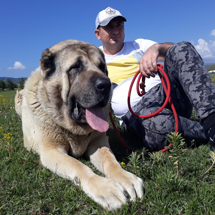 Sinan Sağut Videoları Net Worth & Earnings (2026)