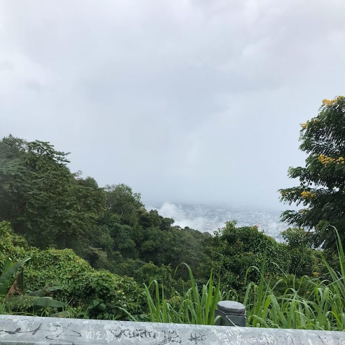 ใหม่จัง ชาแนล Net Worth & Earnings (2025)