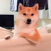 What could 柴犬だいふく daifuku_channel buy with $100 thousand?