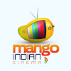 What could Mango Indian Cinema buy with $100 thousand?