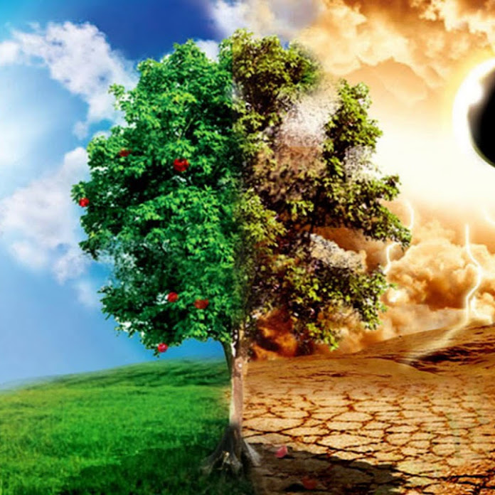 TreponatoR Net Worth & Earnings (2026)