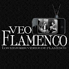 What could Veo Flamenco buy with $281.24 thousand?