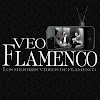 What could Veo Flamenco buy with $281.2 thousand?
