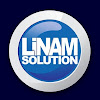 What could LinamSolution buy with $100 thousand?