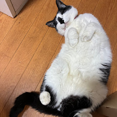 本橋裕之