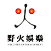 What could 野火娛樂Wild Fire Entertainment buy with $1.34 million?