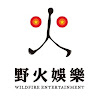 What could 野火娛樂Wild Fire Entertainment buy with $1.3 million?