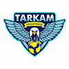 What could Volleyball Tarkam buy with $1.16 million?