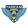 What could Volleyball Tarkam buy with $1.2 million?