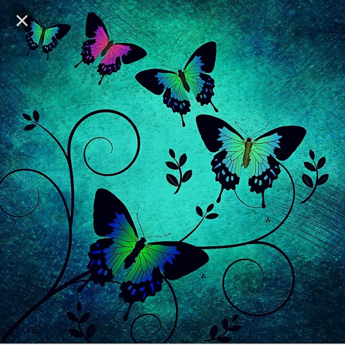 tarot universal para todos Net Worth & Earnings (2025)