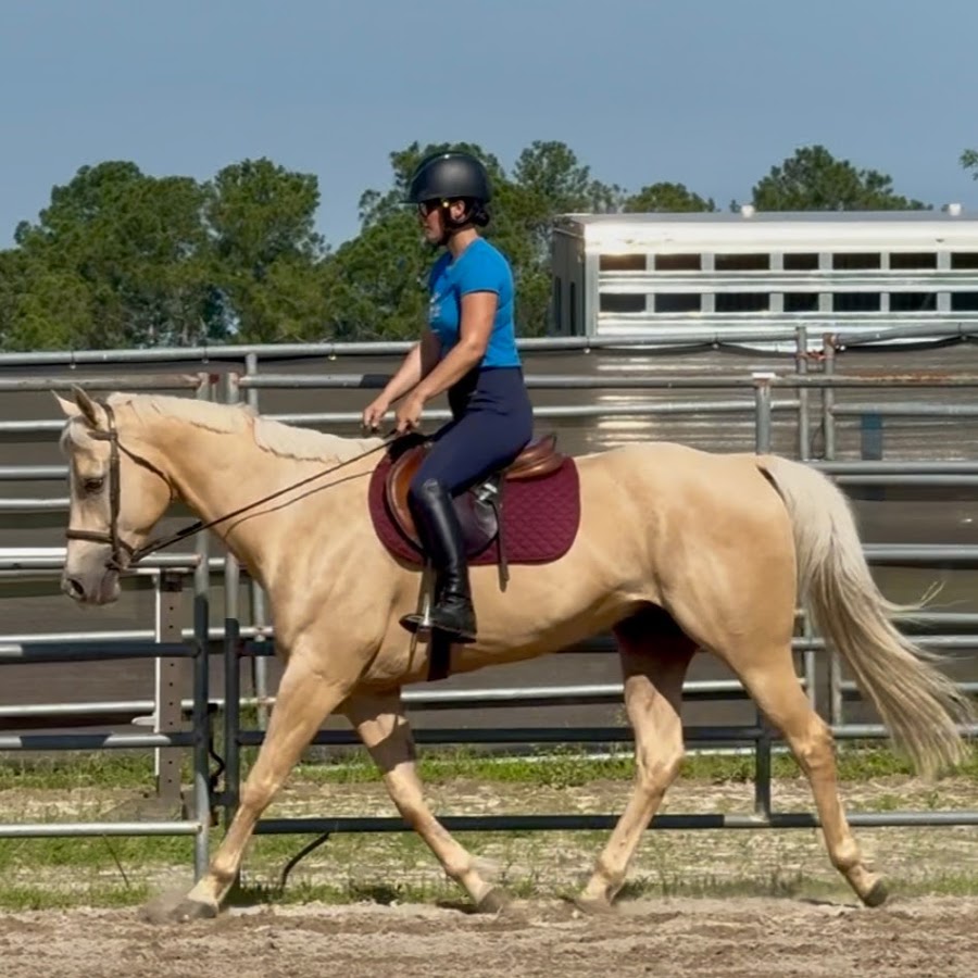 Apple Creek Farm Youtube