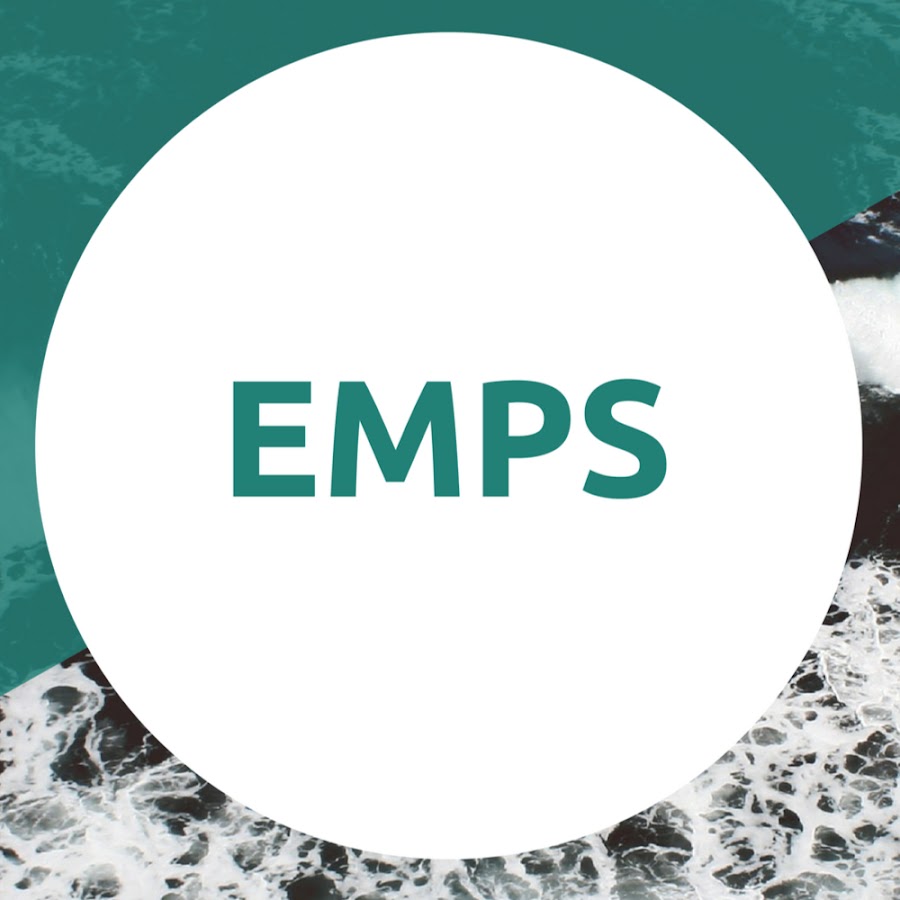 Emps toyota что это