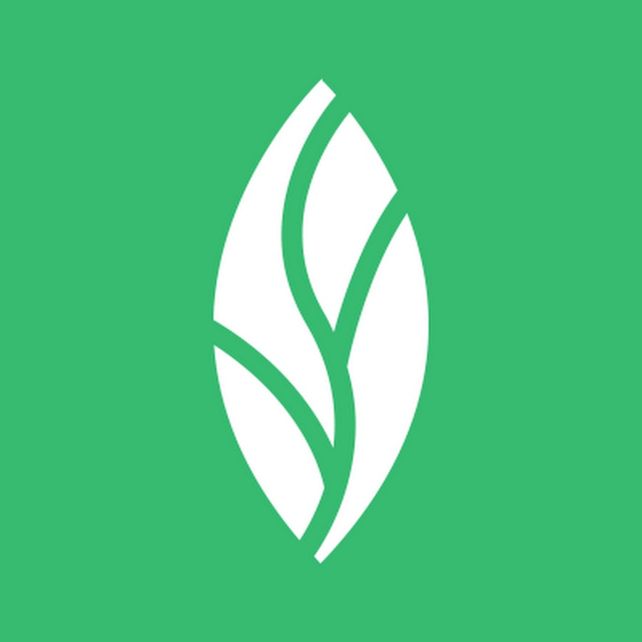 Garland Dentist MINT Dentistry