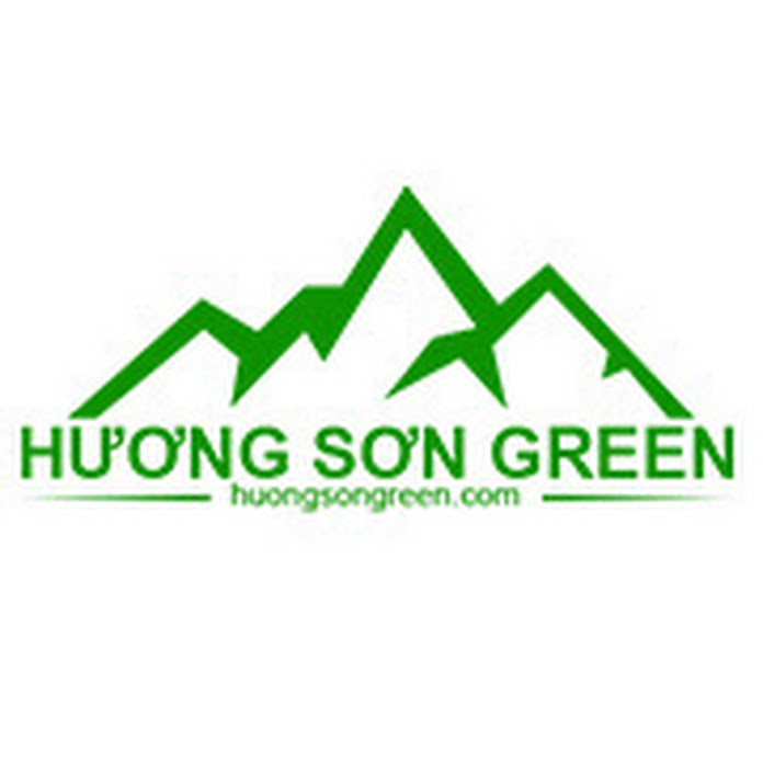 Hương Sơn Green Net Worth & Earnings (2026)