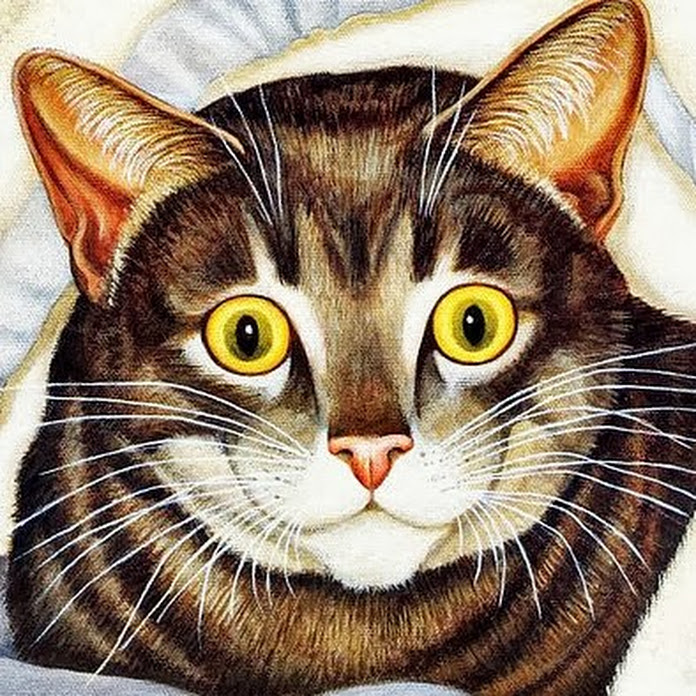 safzsd Net Worth & Earnings (2026)