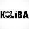 What could Koliba buy with $488.1 thousand?