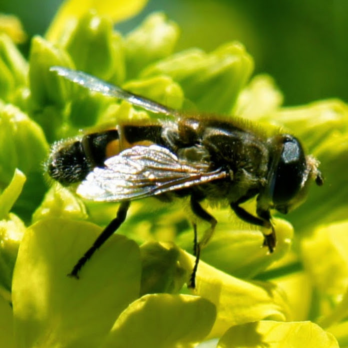 ma ferme autonome Net Worth & Earnings (2026)