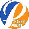 What could Channel Punjab buy with $116.9 thousand?