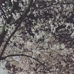 三姉妹でやってみた