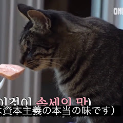 あい