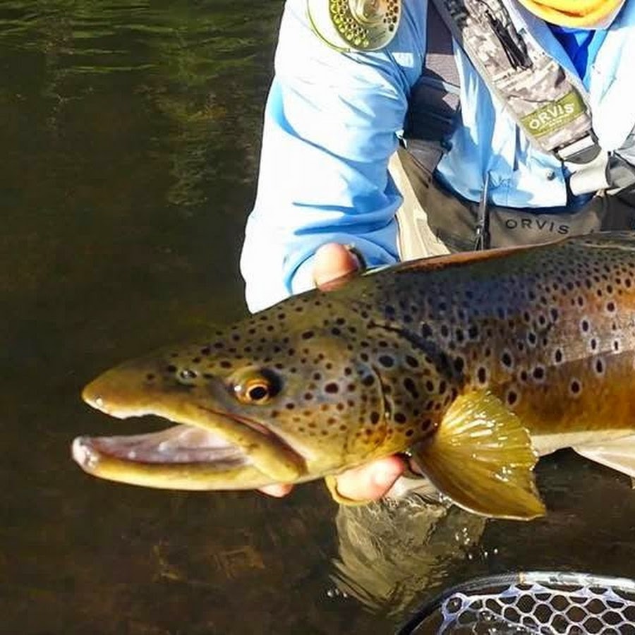 Eagle Nest Fly Shack & Lodge - YouTube