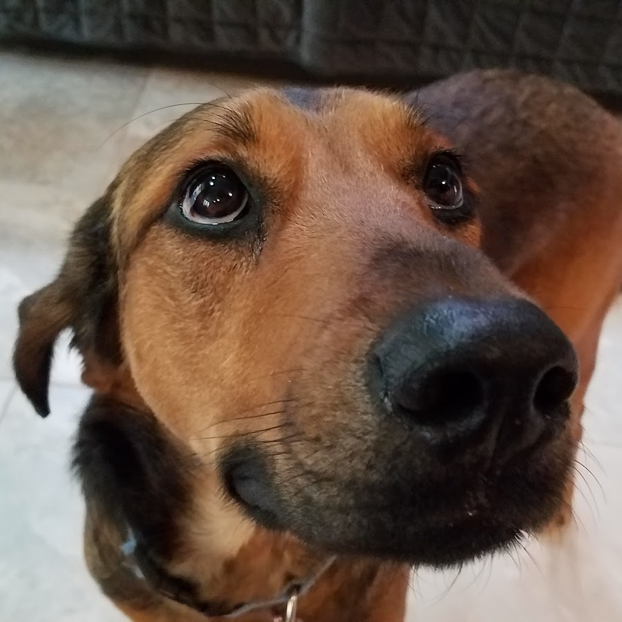 Tic Tac Toy Family YouTube