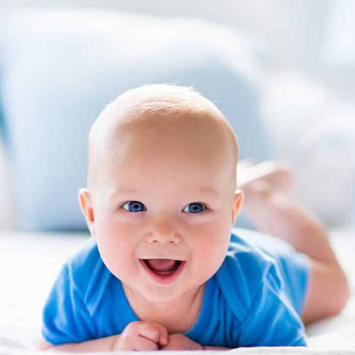 FUNNY ANIMALS Net Worth & Earnings (2026)