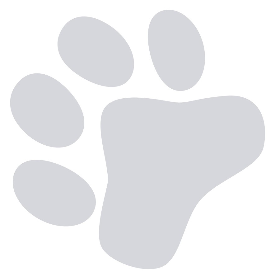 CatPrint - YouTube