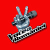 What could Vocea României & Romania’s Got Talent buy with $100 thousand?