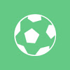 What could GOAL SCOUT buy with $219.7 thousand?