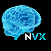 What could NeuroVox buy with $2.01 million?