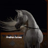 What could Arabian horses خيل عربي اصيل buy with $100 thousand?