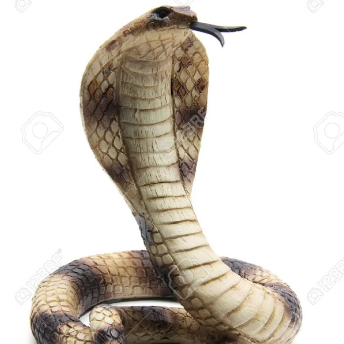 Snake Channel Net Worth & Earnings (2026)