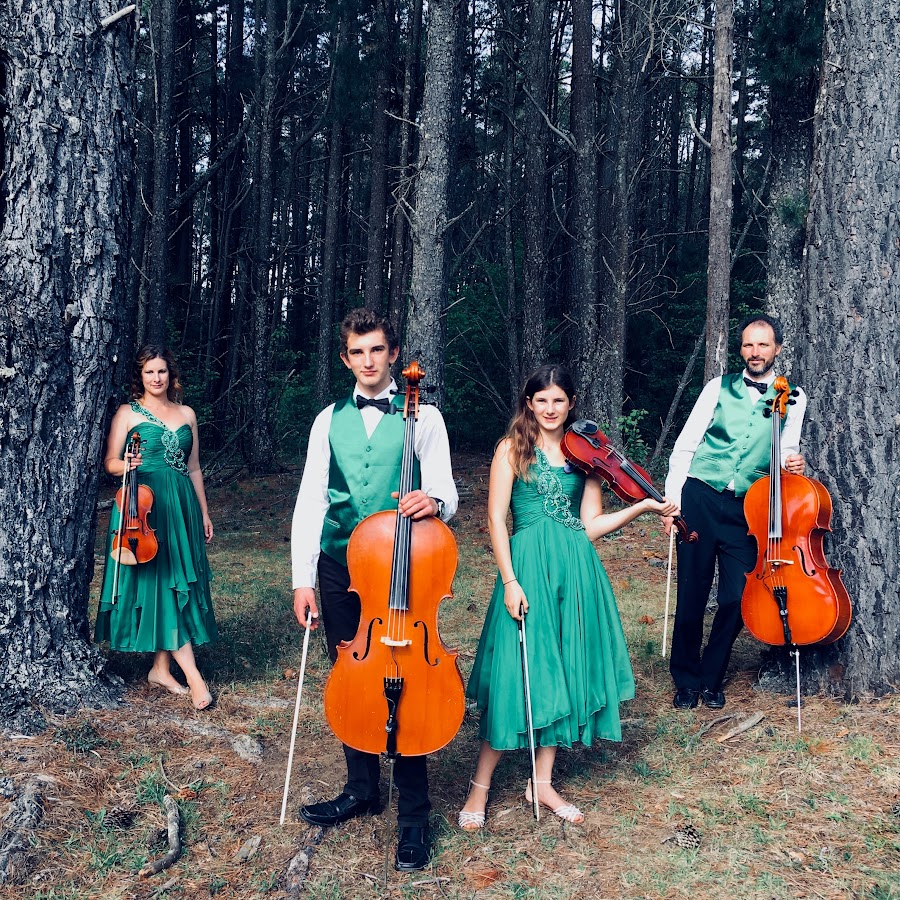 The String Family YouTube