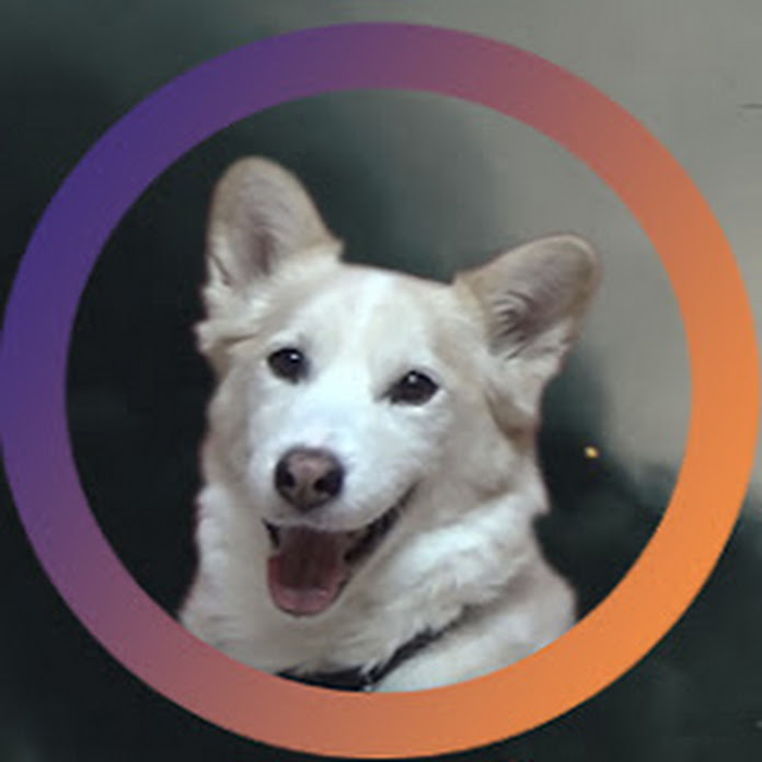 Taison TV Net Worth & Earnings (2026)