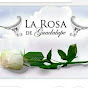 La Rosa Hd
