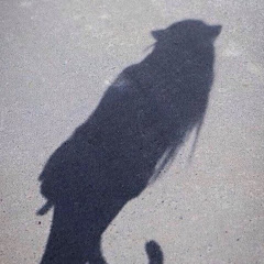 でらしゃん