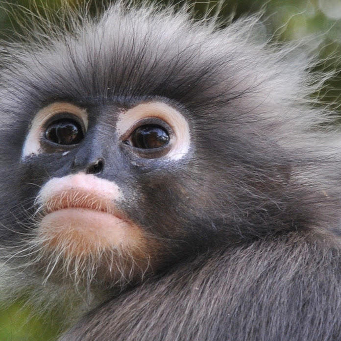 Bam Crew Net Worth & Earnings (2026)