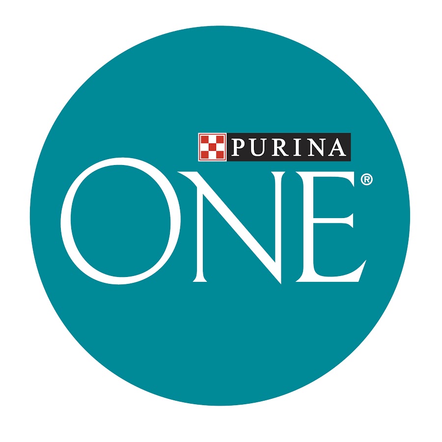 Purina ONE Cat YouTube