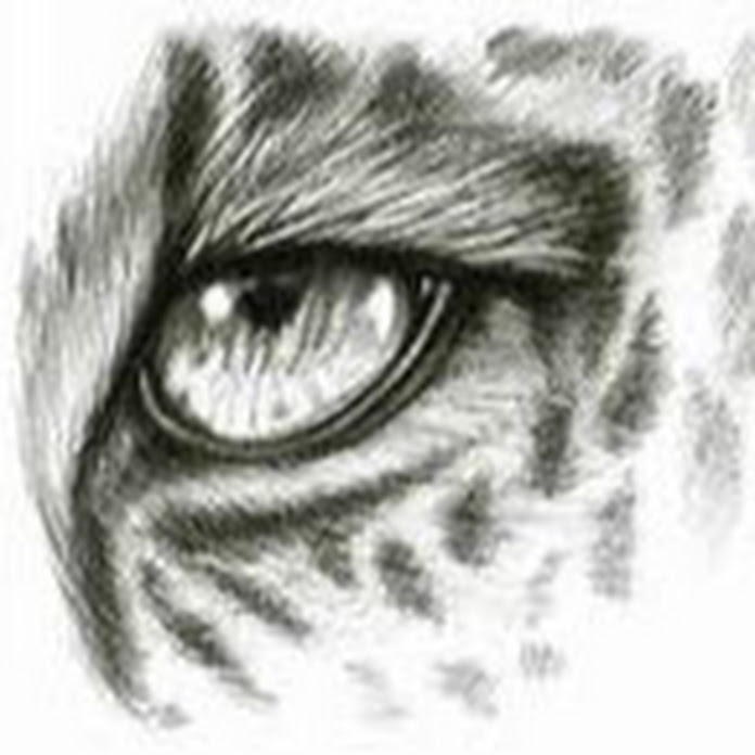 Porteira ABERTA Net Worth & Earnings (2026)