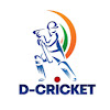 What could D- Cricket buy with $210.86 thousand?