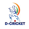 What could D- Cricket buy with $210.9 thousand?