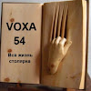 What could Voxa 54 buy with $100 thousand?