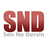 What could Sen Ne Dersin? buy with $323.22 thousand?