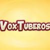 What could VoxTuberos buy with $100 thousand?