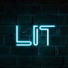 What could LIT buy with $540.1 thousand?