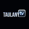What could TAULANY TV buy with $7.73 million?
