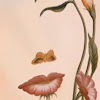 user5362